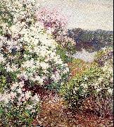 Metcalf, Willard Leroy Mountain Laurel Norge oil painting reproduction